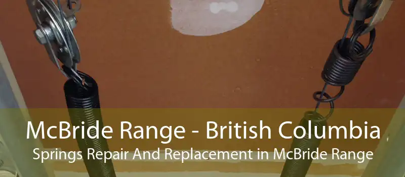 McBride Range - British Columbia Springs Repair And Replacement in McBride Range