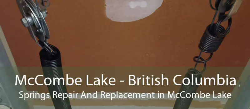 McCombe Lake - British Columbia Springs Repair And Replacement in McCombe Lake