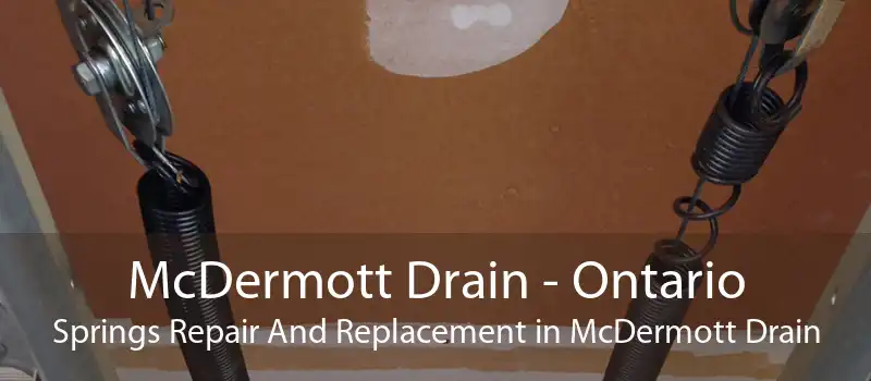 McDermott Drain - Ontario Springs Repair And Replacement in McDermott Drain