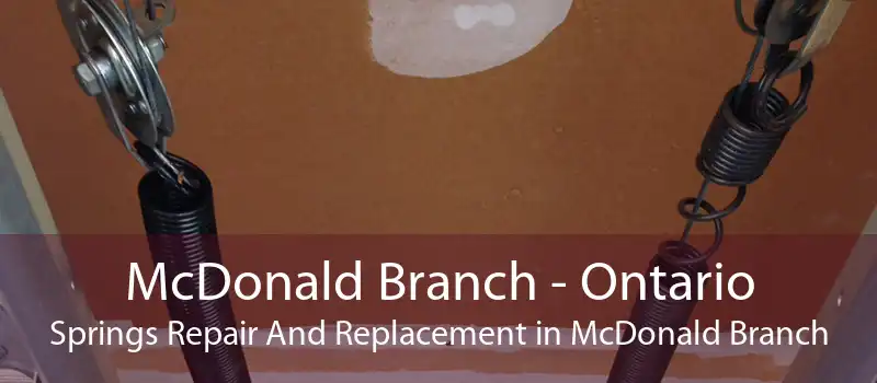 McDonald Branch - Ontario Springs Repair And Replacement in McDonald Branch