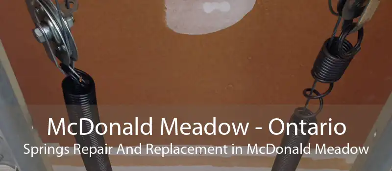 McDonald Meadow - Ontario Springs Repair And Replacement in McDonald Meadow
