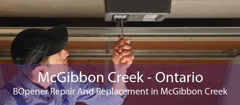 McGibbon Creek - Ontario BOpener Repair And Replacement in McGibbon Creek