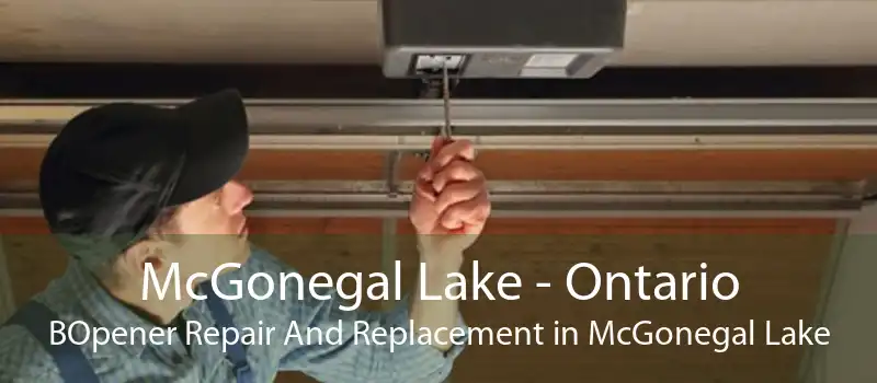 McGonegal Lake - Ontario BOpener Repair And Replacement in McGonegal Lake