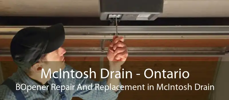 McIntosh Drain - Ontario BOpener Repair And Replacement in McIntosh Drain
