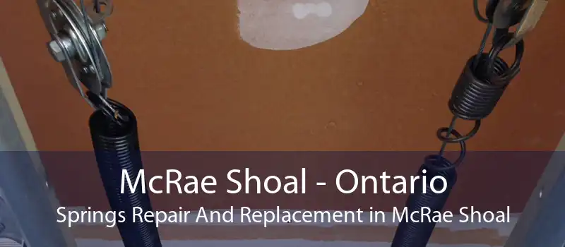 McRae Shoal - Ontario Springs Repair And Replacement in McRae Shoal