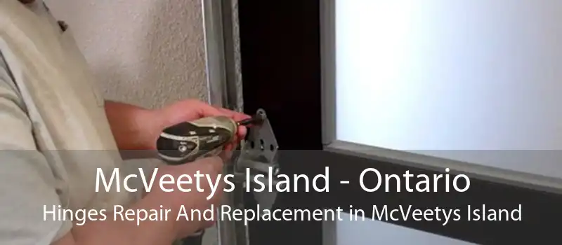 McVeetys Island - Ontario Hinges Repair And Replacement in McVeetys Island