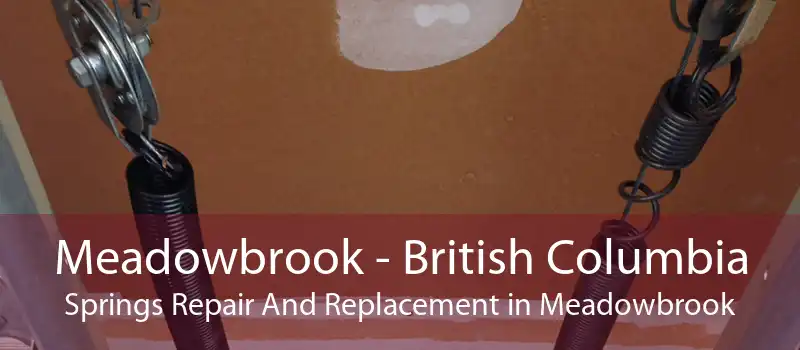 Meadowbrook - British Columbia Springs Repair And Replacement in Meadowbrook