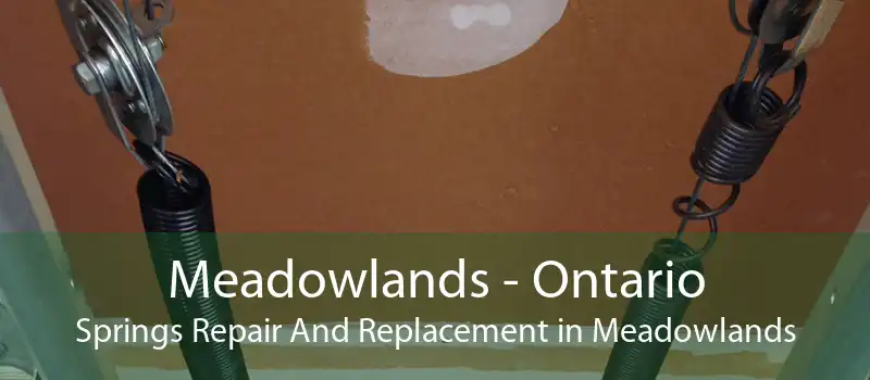 Meadowlands - Ontario Springs Repair And Replacement in Meadowlands