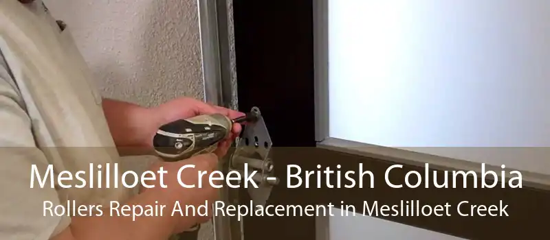 Meslilloet Creek - British Columbia Rollers Repair And Replacement in Meslilloet Creek