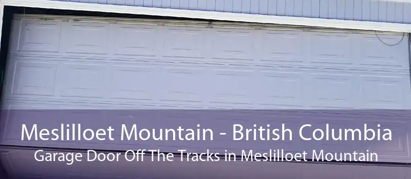 Meslilloet Mountain - British Columbia Garage Door Off The Tracks in Meslilloet Mountain