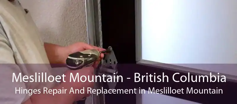 Meslilloet Mountain - British Columbia Hinges Repair And Replacement in Meslilloet Mountain