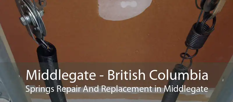 Middlegate - British Columbia Springs Repair And Replacement in Middlegate