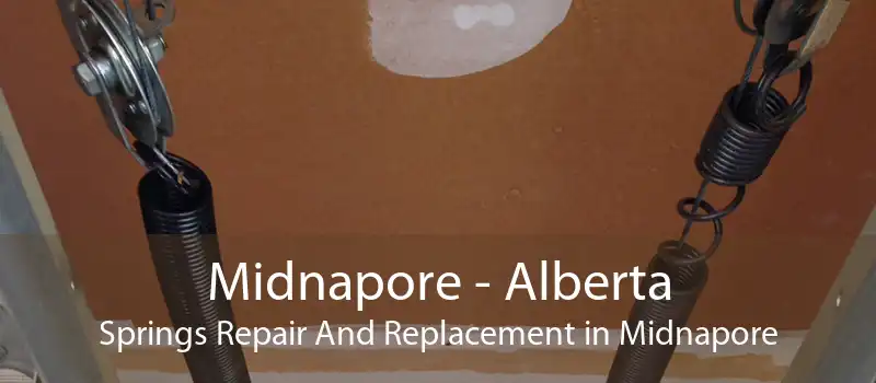 Midnapore - Alberta Springs Repair And Replacement in Midnapore