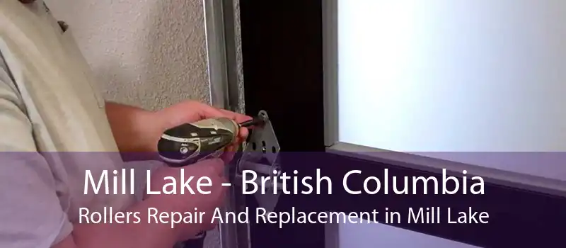 Mill Lake - British Columbia Rollers Repair And Replacement in Mill Lake