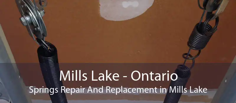 Mills Lake - Ontario Springs Repair And Replacement in Mills Lake