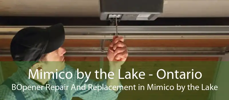 Mimico by the Lake - Ontario BOpener Repair And Replacement in Mimico by the Lake