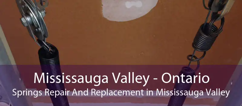 Mississauga Valley - Ontario Springs Repair And Replacement in Mississauga Valley