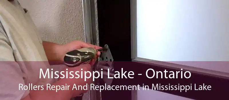 Mississippi Lake - Ontario Rollers Repair And Replacement in Mississippi Lake