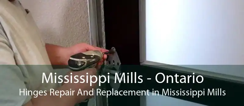 Mississippi Mills - Ontario Hinges Repair And Replacement in Mississippi Mills