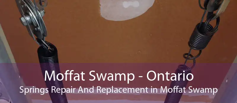Moffat Swamp - Ontario Springs Repair And Replacement in Moffat Swamp