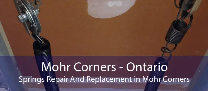 Mohr Corners - Ontario Springs Repair And Replacement in Mohr Corners