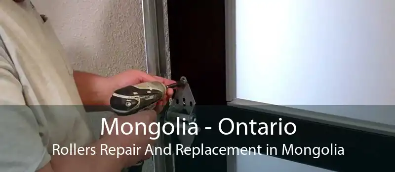 Mongolia - Ontario Rollers Repair And Replacement in Mongolia