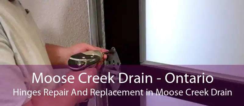 Moose Creek Drain - Ontario Hinges Repair And Replacement in Moose Creek Drain