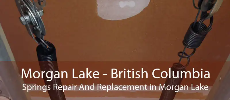 Morgan Lake - British Columbia Springs Repair And Replacement in Morgan Lake
