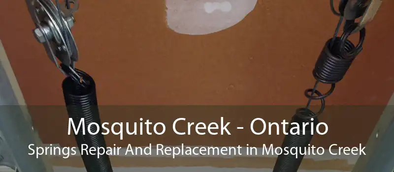 Mosquito Creek - Ontario Springs Repair And Replacement in Mosquito Creek