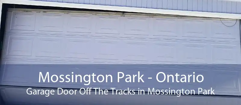 Mossington Park - Ontario Garage Door Off The Tracks in Mossington Park
