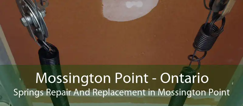 Mossington Point - Ontario Springs Repair And Replacement in Mossington Point