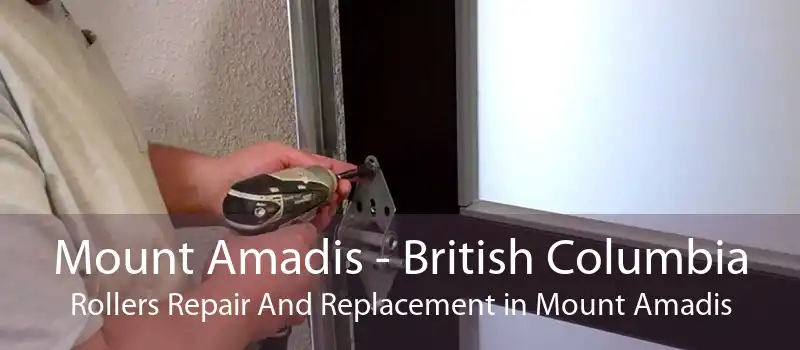 Mount Amadis - British Columbia Rollers Repair And Replacement in Mount Amadis