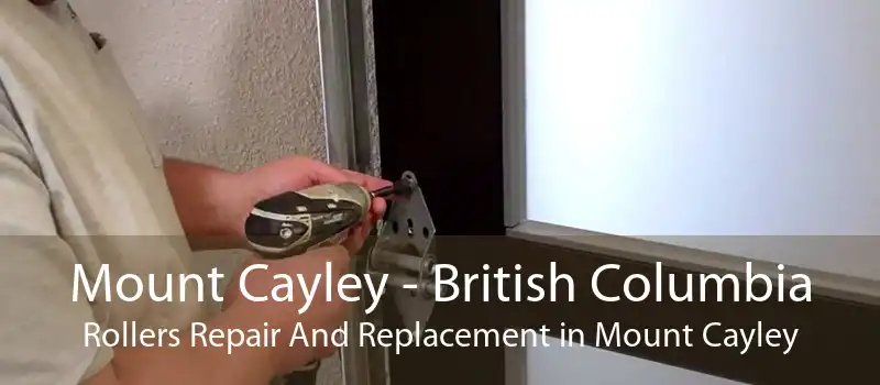 Mount Cayley - British Columbia Rollers Repair And Replacement in Mount Cayley