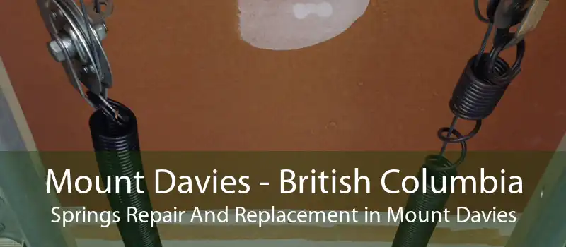 Mount Davies - British Columbia Springs Repair And Replacement in Mount Davies