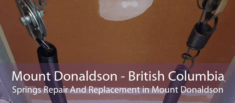 Mount Donaldson - British Columbia Springs Repair And Replacement in Mount Donaldson