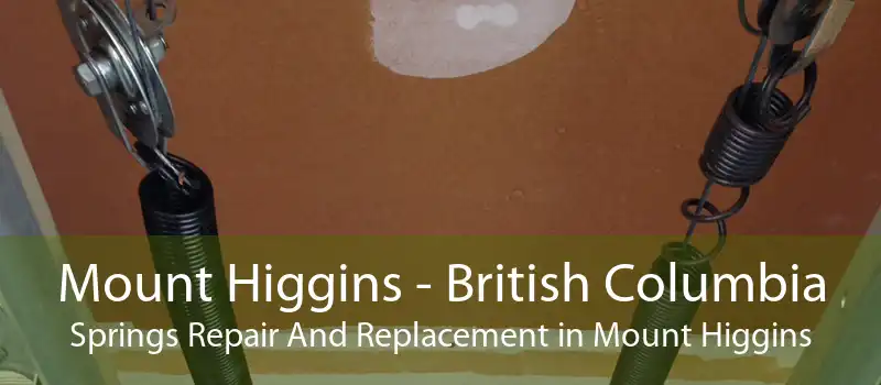 Mount Higgins - British Columbia Springs Repair And Replacement in Mount Higgins