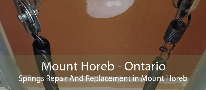 Mount Horeb - Ontario Springs Repair And Replacement in Mount Horeb