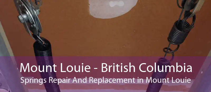 Mount Louie - British Columbia Springs Repair And Replacement in Mount Louie