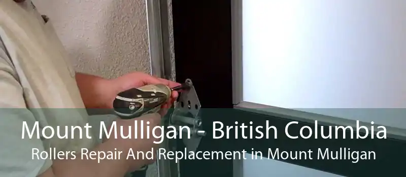 Mount Mulligan - British Columbia Rollers Repair And Replacement in Mount Mulligan
