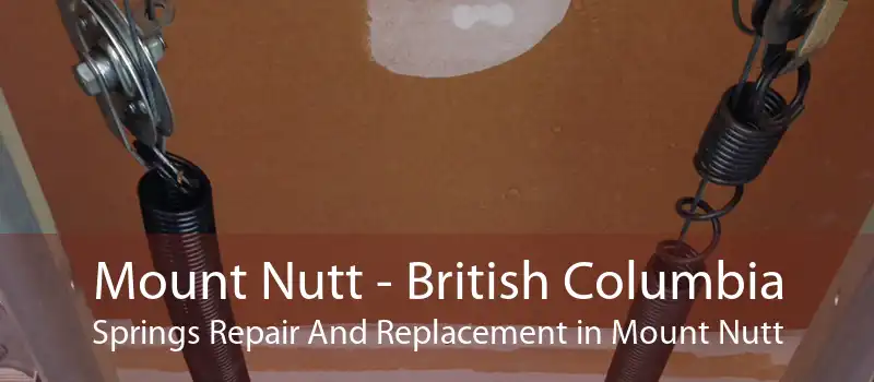 Mount Nutt - British Columbia Springs Repair And Replacement in Mount Nutt
