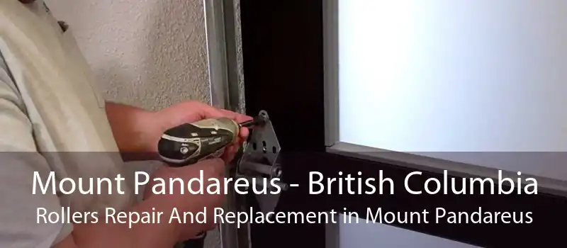 Mount Pandareus - British Columbia Rollers Repair And Replacement in Mount Pandareus