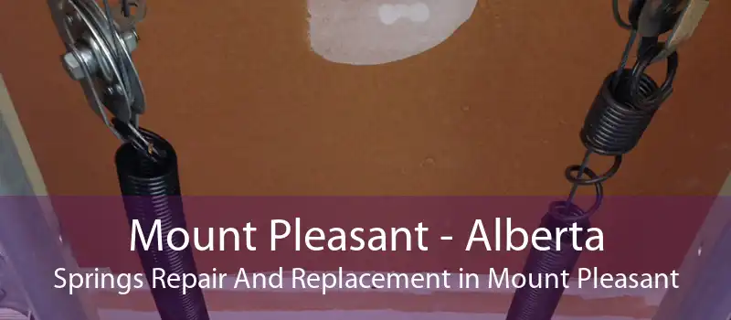 Mount Pleasant - Alberta Springs Repair And Replacement in Mount Pleasant