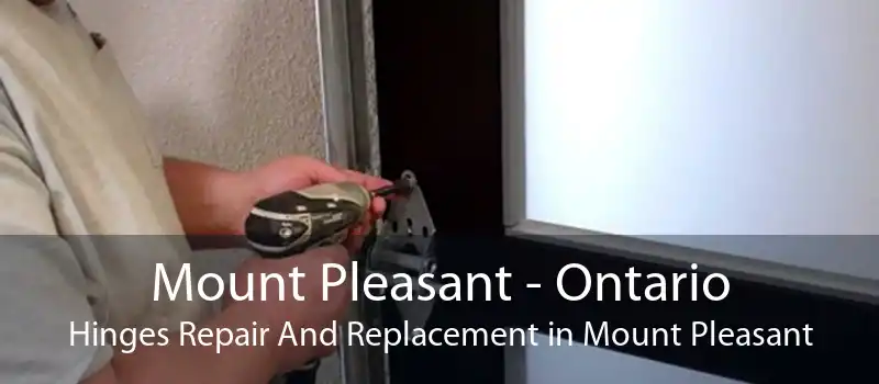Mount Pleasant - Ontario Hinges Repair And Replacement in Mount Pleasant