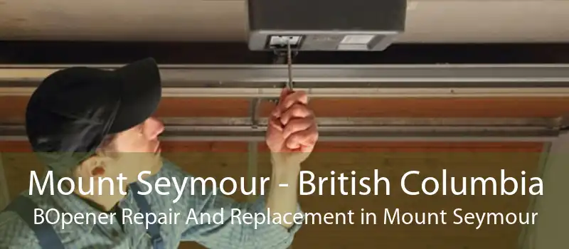Mount Seymour - British Columbia BOpener Repair And Replacement in Mount Seymour