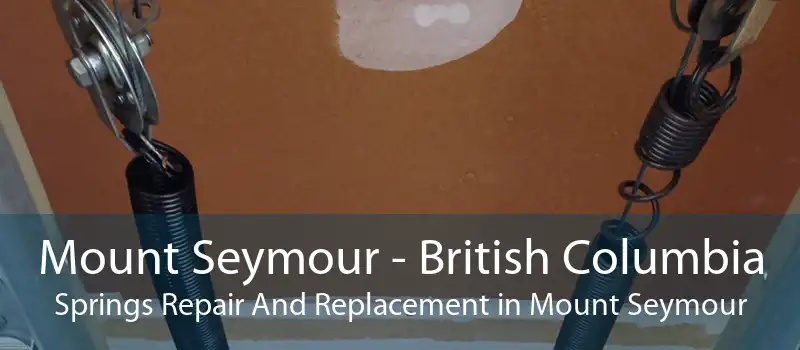 Mount Seymour - British Columbia Springs Repair And Replacement in Mount Seymour