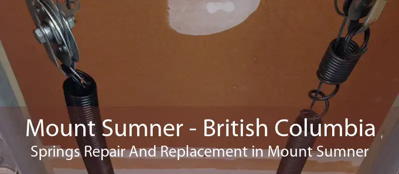 Mount Sumner - British Columbia Springs Repair And Replacement in Mount Sumner