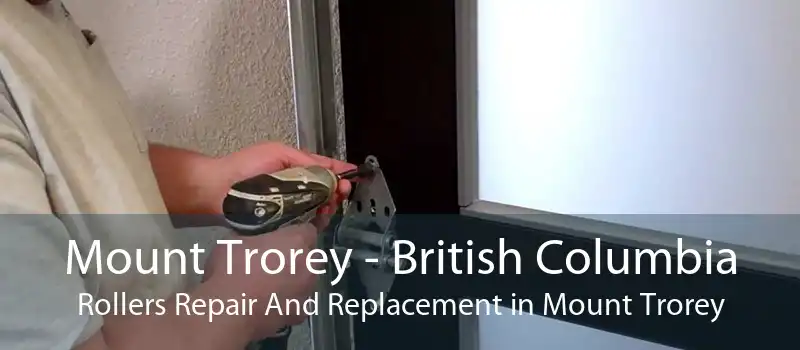 Mount Trorey - British Columbia Rollers Repair And Replacement in Mount Trorey