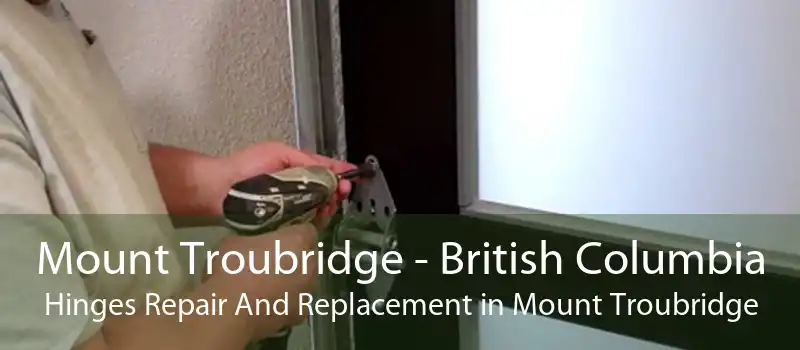 Mount Troubridge - British Columbia Hinges Repair And Replacement in Mount Troubridge