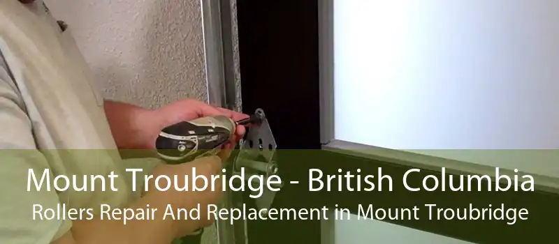 Mount Troubridge - British Columbia Rollers Repair And Replacement in Mount Troubridge