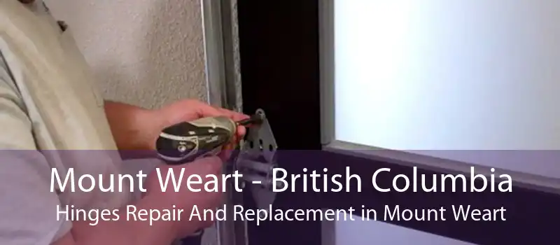 Mount Weart - British Columbia Hinges Repair And Replacement in Mount Weart